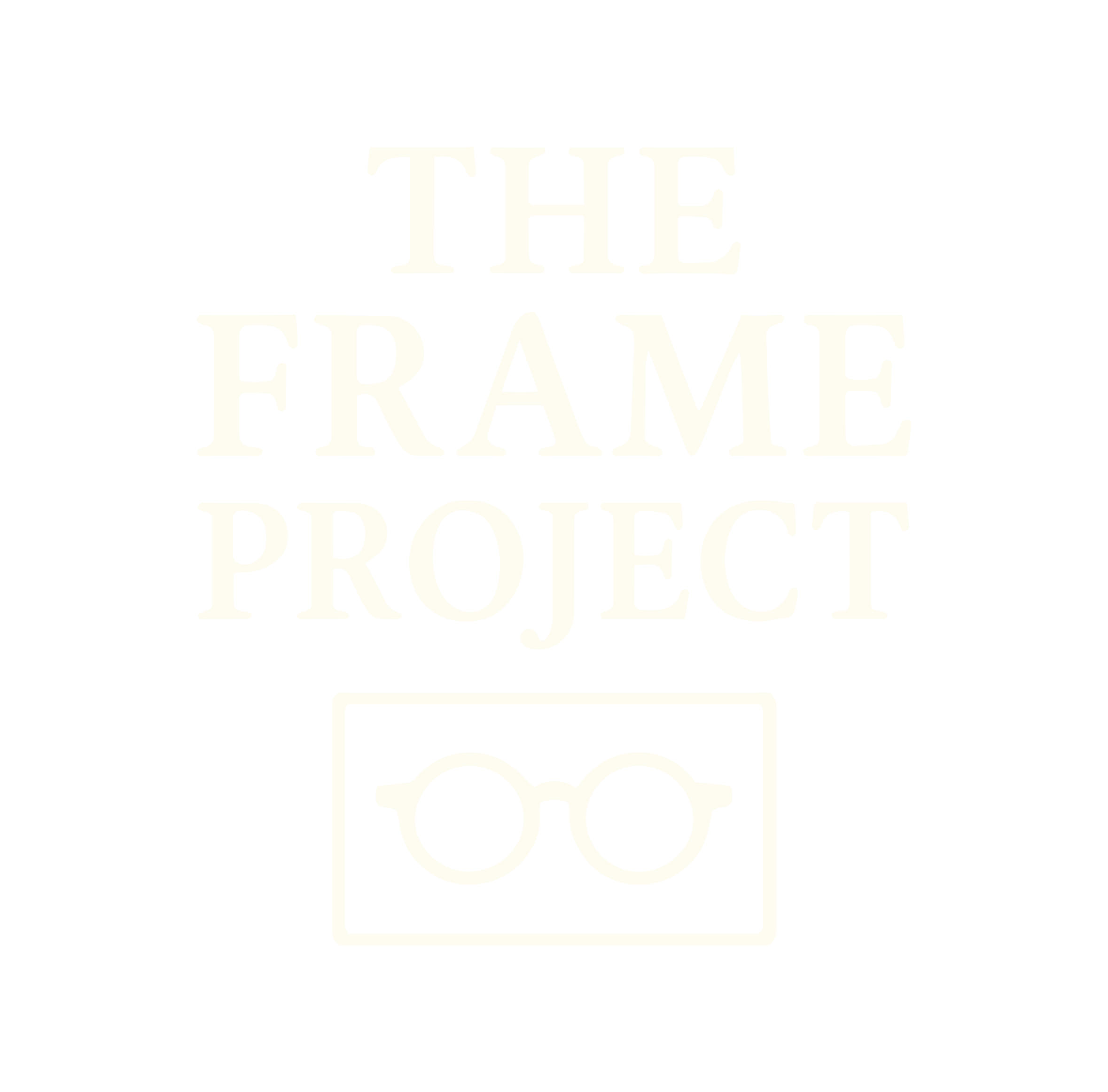 The Frame Project